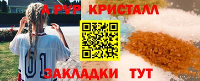 стаф Кунгур